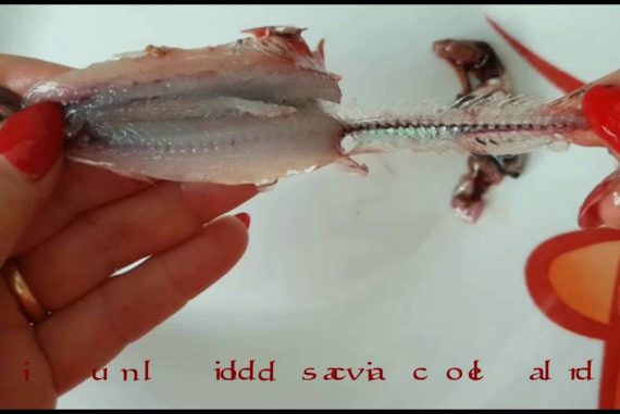 comepulireilpesce